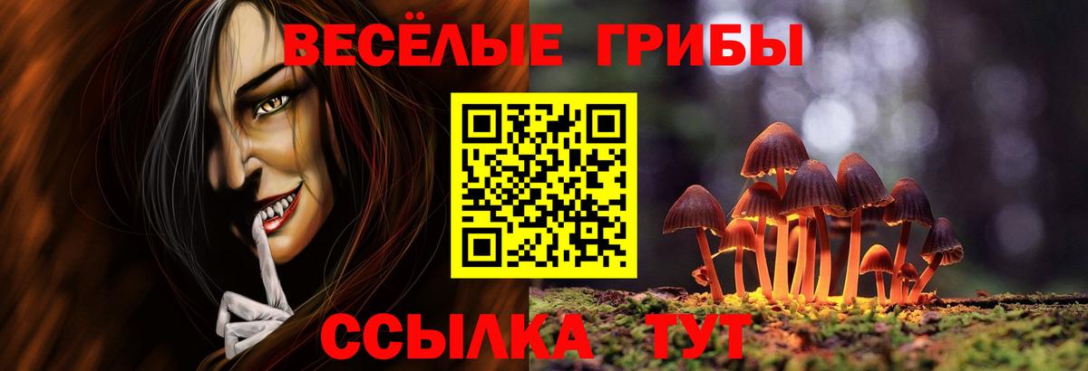 Галлюциногенные грибы Cubensis  Вход с VPN  Печора  Псилоцибиновые грибы Psilocybe 